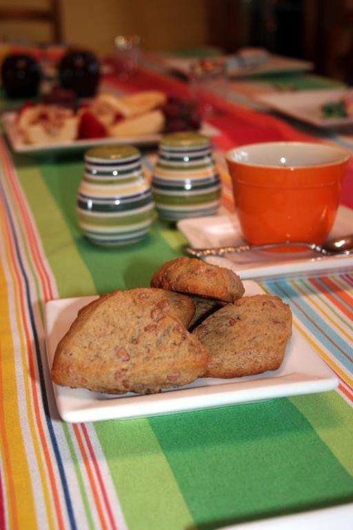Chocolate Turtle B&B Corrales Buitenkant foto