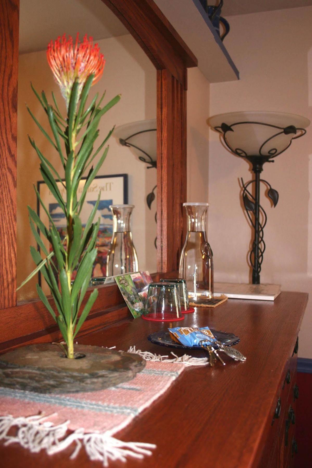 Chocolate Turtle B&B Corrales Buitenkant foto